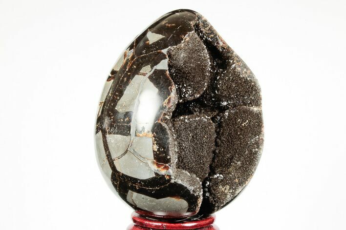 Septarian Dragon Egg Geode - Black Crystals #191505